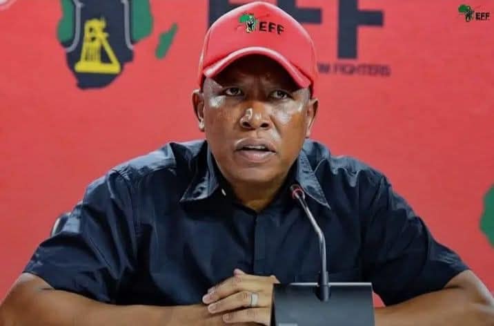 EFF LEADER JULIUS MALEMA